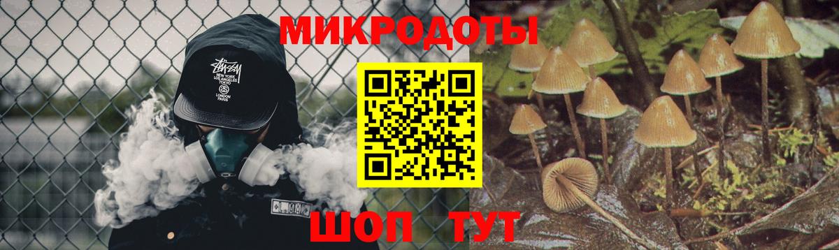 Качканар  Псилоцибиновые грибы мухоморы  Вход с VPN 